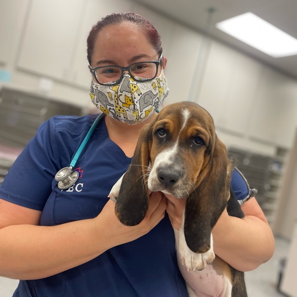 🧜🏼‍♀️ Meet Your Posher! 🦩 - Picture 5 of 10